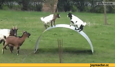 Улыбнитесь Улыбнитесь