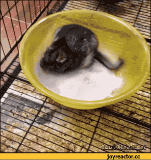 Улыбнитесь Улыбнитесь