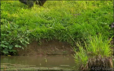 Улыбнитесь Улыбнитесь