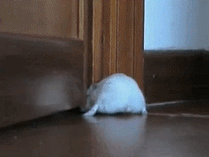 Улыбнитесь Улыбнитесь