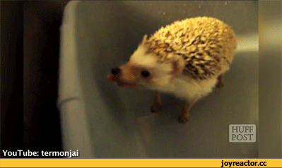 Улыбнитесь Улыбнитесь