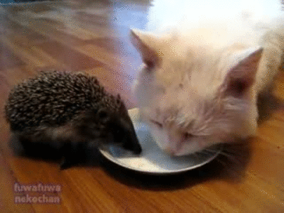 Улыбнитесь Улыбнитесь