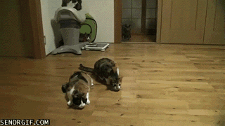 Улыбнитесь Улыбнитесь