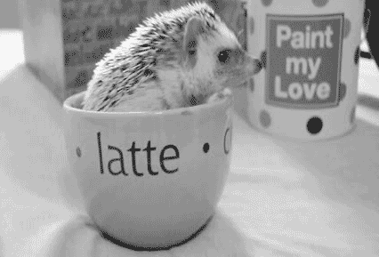 Улыбнитесь Улыбнитесь