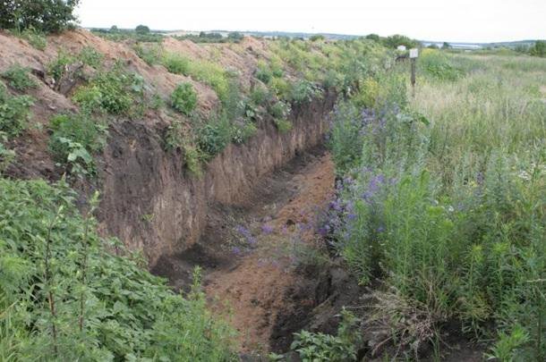 Балута заразился от Таруты.Окопная болезнь-заразная. Балута заразился от Таруты.Окопная болезнь-заразная.