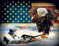 Несбывшаяся американская мечта