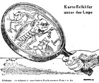 Откуда есмь пошли в СССР колорады, или По копейке за каждого гостя из славного Лемберга!..