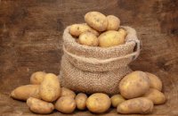 Россия запретила ввозить украинский картофель 