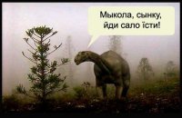 7 величайших украинских перемог