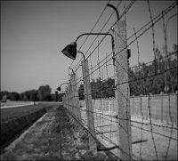 Фильтрационные лагеря – национальная идея Украины