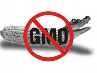 Китай отказывается от поставок американской ГМО-продукции  