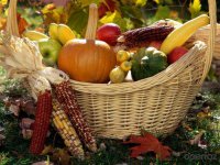 Россия запретила украинскую сельскохозяйственную продукцию 