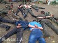 Бесславные ублюдки. Бойня на Украине воняет газом и тотальным предательством «украинских» политиков