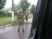 Операция "Свидомые мертвецы"