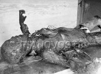 Сегодня 22 июня. Есть повод хунте задуматься