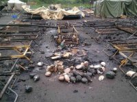 Украинских военных обстреливают минами, которые есть на вооружении РФ