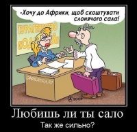 Хроники свиноцида: В Петербурге у украинцев отнимают и сжигают сало
