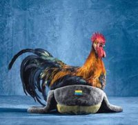 Бойцы батальона "Львов", недовольные руководством, вернулись домой