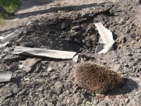 Сводка событий от Игоря Стрелкова и ополченцев 28.06.2014