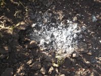 Сводка событий от Игоря Стрелкова и ополченцев 28.06.2014