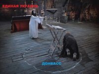 Вектор в никуда.  Сенаторы обсудили "европейский выбор" Украины