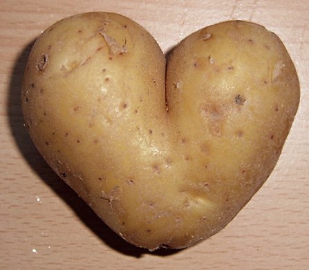 В Крыму собирают второй урожай картофеля – завоза из Украины не требуется В Крыму собирают второй урожай картофеля – завоза из Украины не требуется