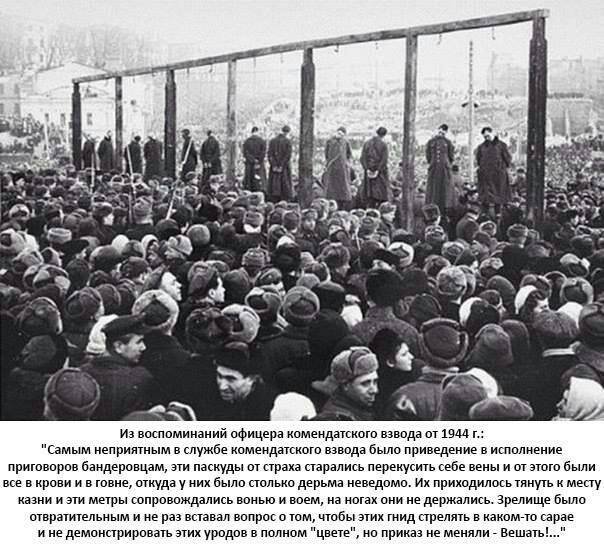 Бандеровцам 21 века на заметку. Чтобы помнили Бандеровцам 21 века на заметку. Чтобы помнили