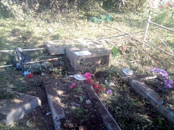 Нацгады воюют с мертвецами Нацгады воюют с мертвецами