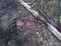 В Ростовской области в жилой дом попал снаряд, выпущенный с территории Украины