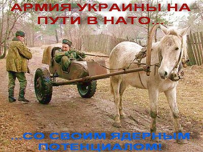 «Клещи» Порошенко попали в «тиски» Стрелкова «Клещи» Порошенко попали в «тиски» Стрелкова
