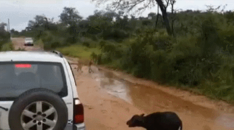 Улыбнитесь...