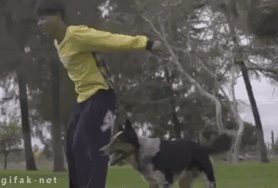 Улыбнитесь...