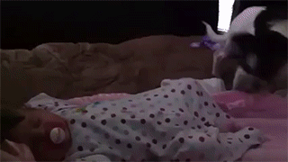 Улыбнитесь...