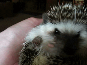 Улыбнитесь...