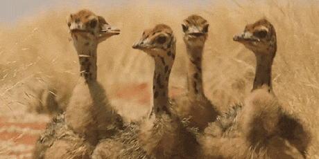 Улыбнитесь...