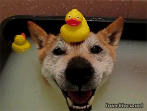 Улыбнитесь...