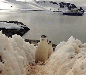 Улыбнитесь...