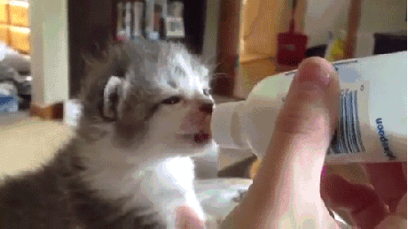 Улыбнитесь...