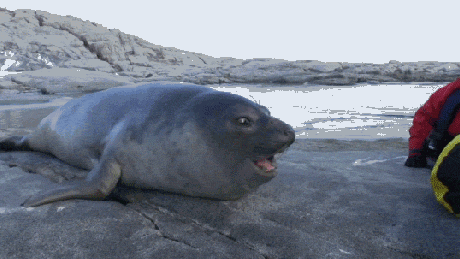 Улыбнитесь...