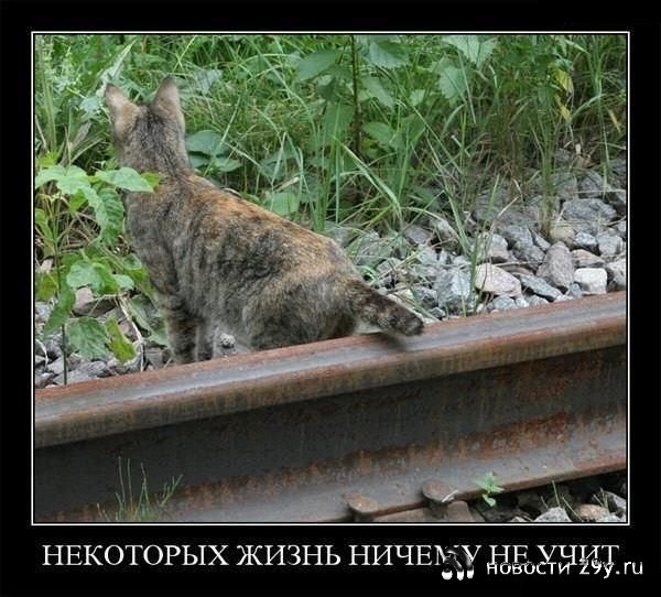 400 лет информационных войн, против России 400 лет информационных войн, против России