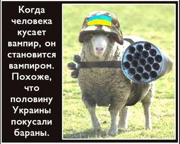 Условный рефлекс Условный рефлекс