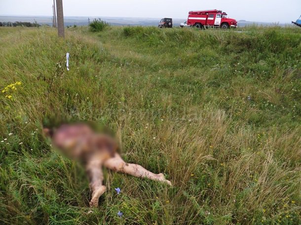 Место падения Боинга. (фото, видео) 18+ Место падения Боинга. (фото, видео) 18+