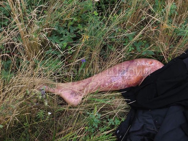 Место падения Боинга. (фото, видео) 18+ Место падения Боинга. (фото, видео) 18+