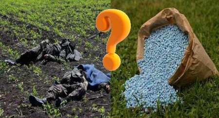 Стать Европой! Стать Европой!