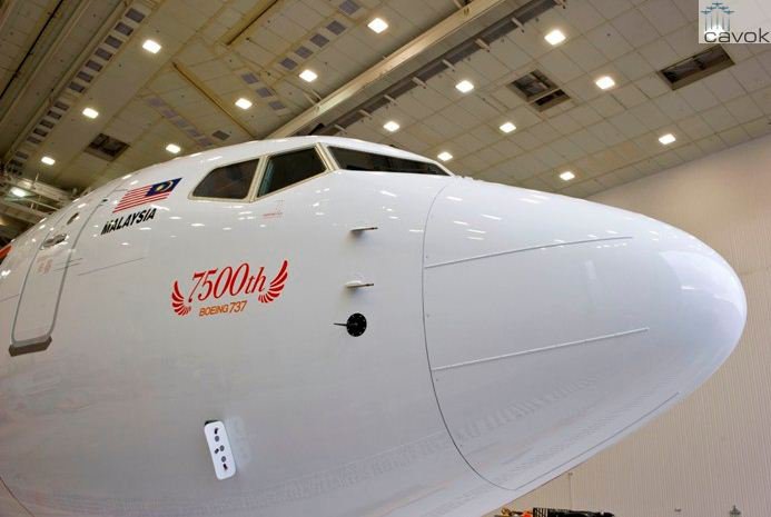 США как профессионалы-фокусники США как профессионалы-фокусники