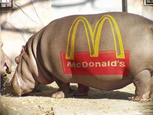 В шею Рональда, в шею Макдональда В шею Рональда, в шею Макдональда