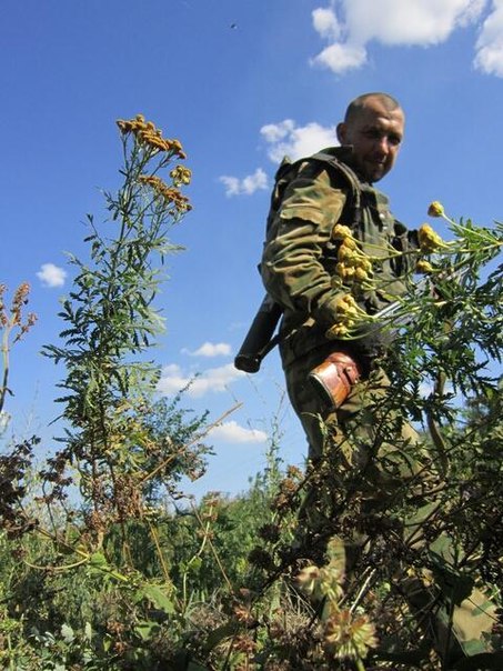 Сводки от ополчения Новороссии 31.07.2014 Сводки от ополчения Новороссии 31.07.2014