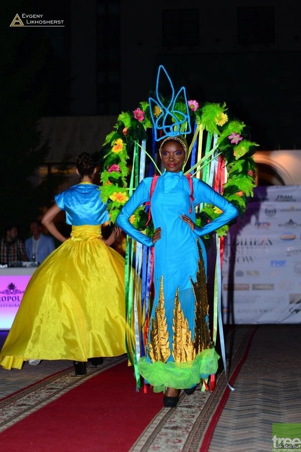 Майдан головного мозга Майдан головного мозга