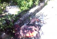 Сводка событий от Игоря Стрелкова и ополченцев 02.07.2014