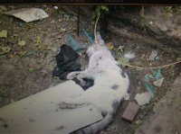 Сводка событий от Игоря Стрелкова и ополченцев 04.07.2014